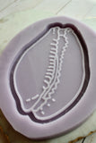 Cowrie Shell Catchall Mold MERCIA MOORE