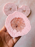 Pink Agate Coaster Set